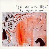 Coxon, Graham - The Sky Is Too High