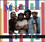 The Meters - Funkify Your Life : The Meters Anthology