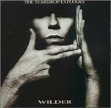 The Teardrop Explodes - Wilder