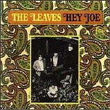 The Leaves - Hey Joe