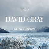 Gray, David - Life in Slow Motion