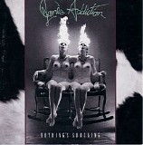 Janes Addiction - Nothing's Shocking