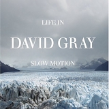 David Gray - Life in Slow Motion