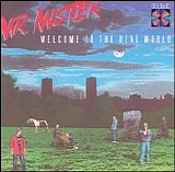 Mr. Mister - Welcome to the Real World