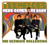 Tremeloes, The - Here Comes My Baby - The Ultimate Collection