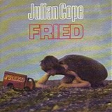 Cope, Julian - Fried