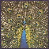 The Bluetones - Expecting To Fly