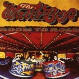 The Waterboys - Room to Roam (Remastered)