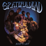 Grateful Dead - Built To Last