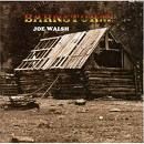 Joe Walsh - Barnstorm