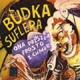 Budka Suflera - Ona przyszla prosto z chmur