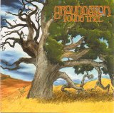 Groundation - Young Tree