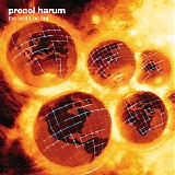 Procol Harum - The Wells On Fire