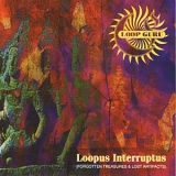 Loop Guru - Loopus Interruptus