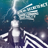 Official Secrets Act - Understanding Electricity