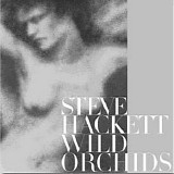 Steve Hackett - Wild Orchids