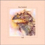Pete Sinfield - Still