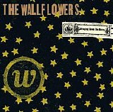 The Wallflowers - Bringing Down the Horse