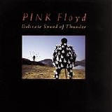 Pink Floyd - Delicate Sound of Thunder