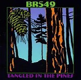 BR549 - Tangled in the Pines