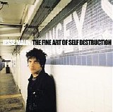 Jesse Malin - The Fine Art of Self Destruction