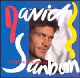 David Sanborn - A Change of Heart