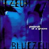 Bluezeum - Portrait of a Groove