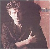 Don Henley - Building the Perfect Beast