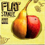 Flat Stanley - Between 2wo Worlds