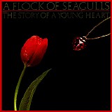 A Flock of Seagulls - The Story of a Young Heart