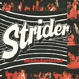 Strider - Misunderstood