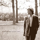 David Sylvian - Brilliant Trees (remastered 2006)