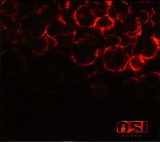 OSI - Blood (Limited Edition)