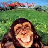 The Supernaturals - It Doesn't Matter Anymore