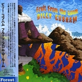 Billy Cobham - Fruit From The Loom