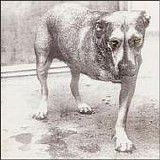 Alice in Chains - Alice in Chains -1995-