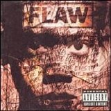 flaw - through the eyes