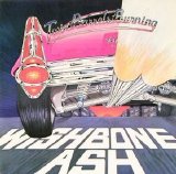 Wishbone Ash - Twin Barrels Burning