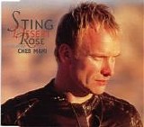Sting & Cheb Mami - Desert Rose single (EU)