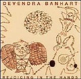 Devendra Banhart - Rejoicing In the Hands