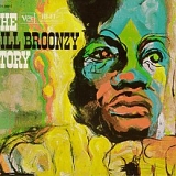 Big Bill Broonzy - Bill Broonzy Story