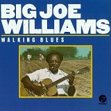 Big Joe Williams - Walking Blues