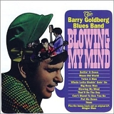 The Barry Goldberg Blues Band - Blowing My Mind