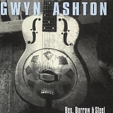 Gwyn Ashton - Beg Borrow & Steel