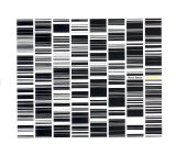 Ryoji Ikeda - Test Pattern