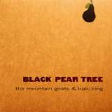 The Mountain Goats and Kaki King - Black Pear Tree