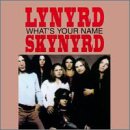 Lynyrd Skynyrd - What's Your Name