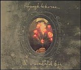 Sparklehorse - It's a Wonderful Life