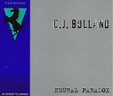 CJ Bolland - Neural Paradox