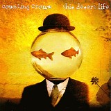 Counting Crows - This Desert Life